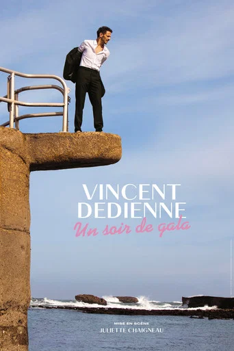 Regarder Vincent Dedienne - Un soir de Gala en streaming complet