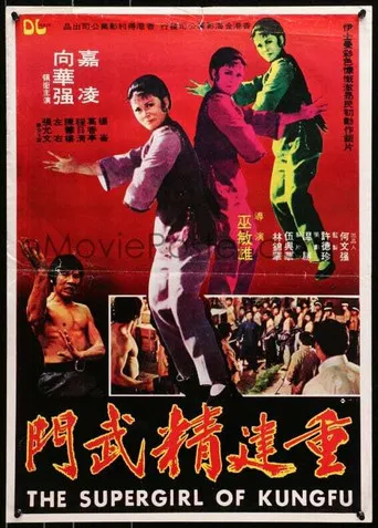 Regarder 重建精武門 en streaming complet
